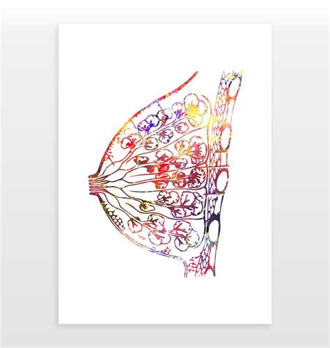 Breast Poster Female Anatomy Print Watercolour Print Etsy