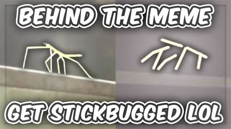 The ORIGIN Of Get Stickbugged Lol Behind The Meme YouTube