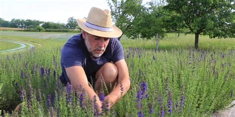 Les Plantes Aromatiques Comment Les Cultiver Et Les Utiliser Pour