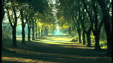 Soothing Wallpapers - Top Free Soothing Backgrounds - WallpaperAccess