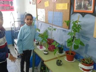 El Huerto Escolar En Primaria Ceip San Pedro Ppt