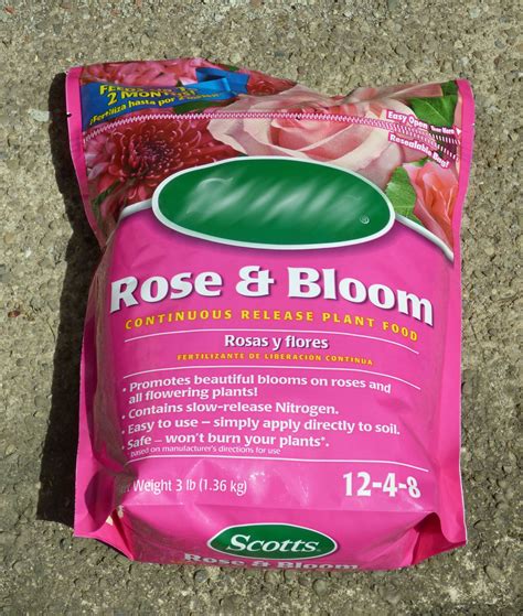Best Fertilizer For Roses In Containers at Yolanda Westbrook blog