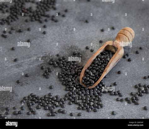 Wooden Scoop Of Black Beluga Lentils Beans On Grey Wooden Table Close