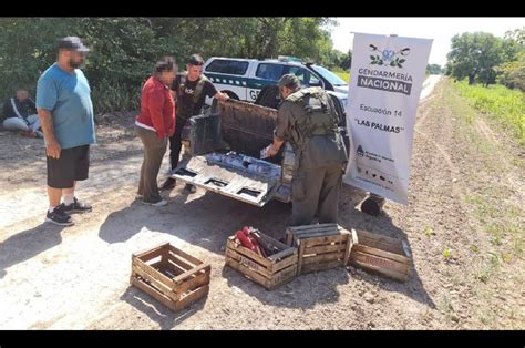 Utilizó un doble fondo en su camioneta para ocultar un cargamento