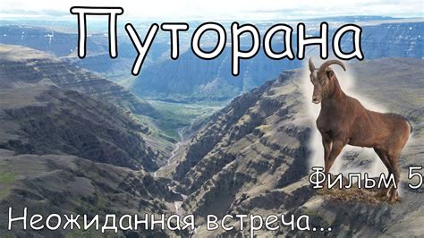 Путорана Путешествие в страну толсторога Тайны реки Бунисяк - YouTube