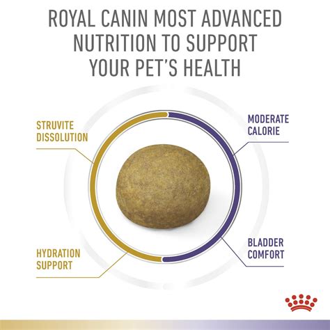 URINARY + BLADDER COMFORT | Royal Canin Switzerland