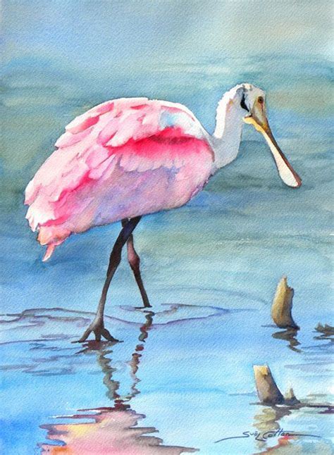 Solitary Spoonbill Watercolor By Sue Lynn Cotton Suelynncotton