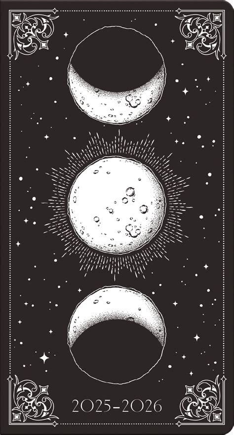 Trends International 2025-2026 Celestial Pocket Planner - Walmart.com