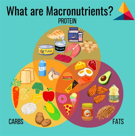 Macronutrients Why They Matter Paragon Health And Fitness