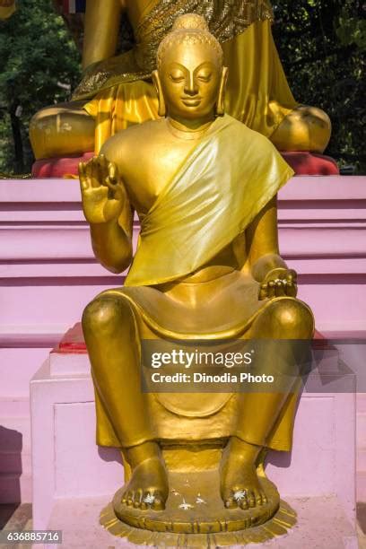 Buddha Sarnath Photos and Premium High Res Pictures - Getty Images