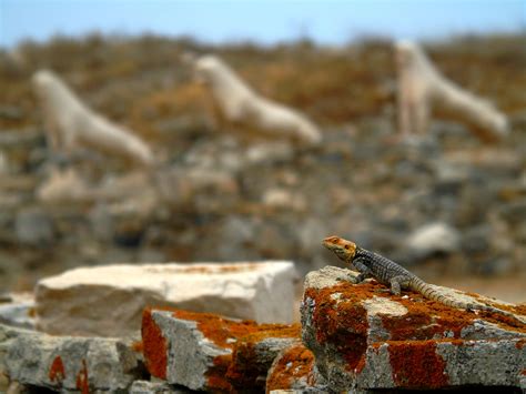 The unknown inhabitants of archaeological sites | eKathimerini.com