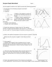 Enzyme Graphing Worksheets