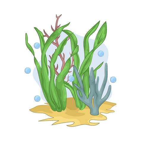 Illustration of seaweed 46951664 Vector Art at Vecteezy