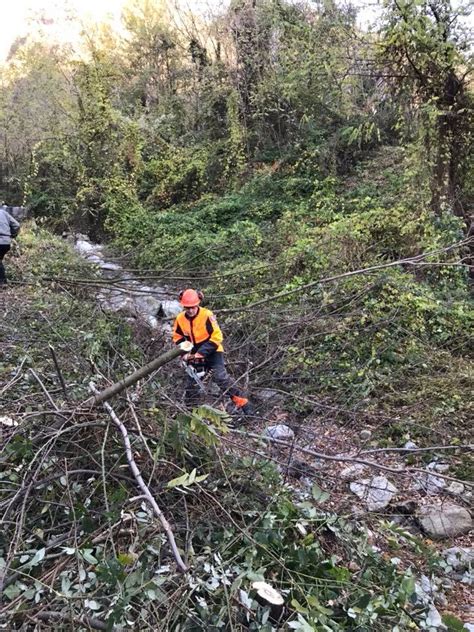 Bormio Valfurva Valdisotto Valdidentro E Sondalo Insieme Per Il