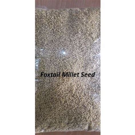 Brown Foxtail Millet Kg For Food Packaging Size G At Rs Kg