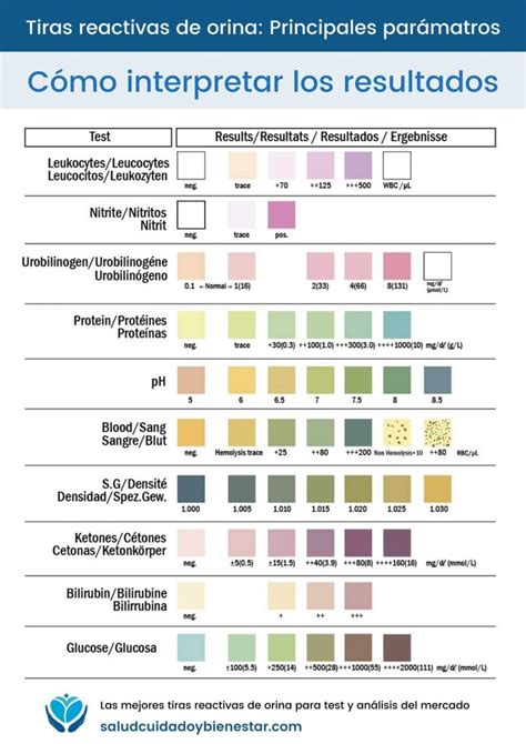 Las Mejores Tiras Reactivas De Orina Para Test Y Análisis