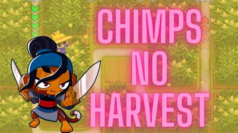 BTD6 Cornfield Chimps No Harvest Achievement Tutorial YouTube