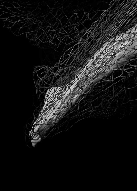 Alex Sher Miraculous Catch Underwater Black And White Nude Photograph Acrylic 36x24 For