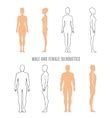 Naked Standing Man Royalty Free Vector Image VectorStock