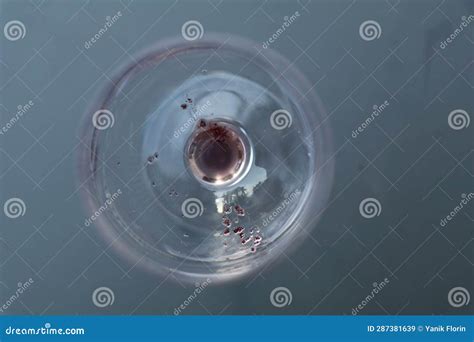 Wine Diamonds Or Tartrate Crystals At The Bottom Of An Empty Glass Of Red Wine Stock Image