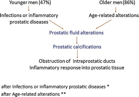 Why And How To Evaluate Chronic Prostatic Inflammation European