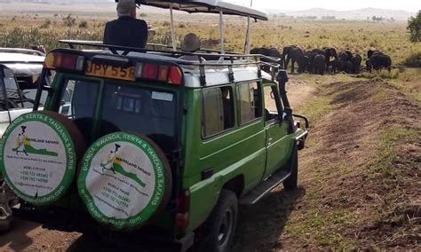 Tipping On Safari In Uganda We Ll Tell You All About It