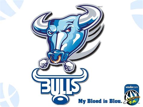 Bulls Rugby Logo