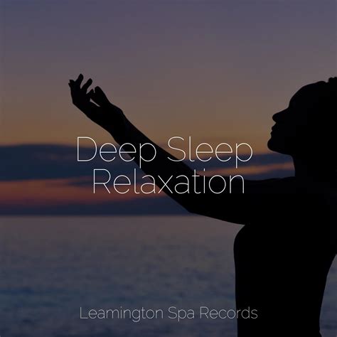 Music For Relaxation Asmr Sleep Sounds、sleep Recording Sounds、nature Sound Series 高音质在线试听 Music