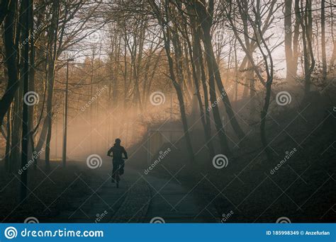 Mtb Doing A Wheelie Stock Image Image Of Uphill Bicycle 185998349