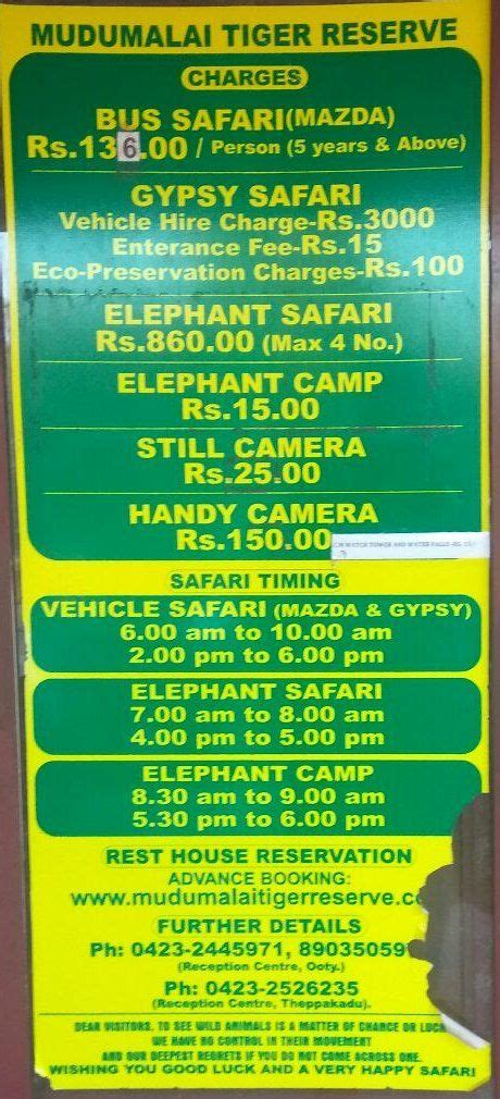 Mudumalai Safari Van & Elephant Safari Guide | Deep Jungle Home