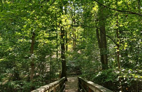 10 Best hikes and trails in Brandywine Creek State Park | AllTrails