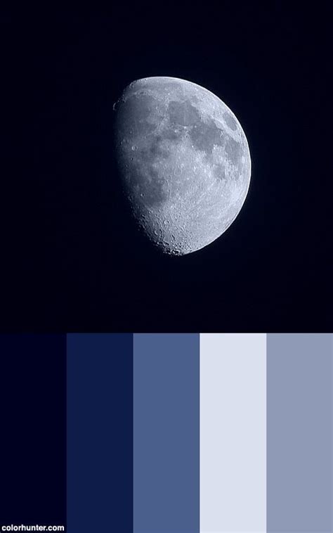 Moon Color Palette | Color schemes colour palettes, Brand color palette ...