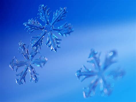 Free Winter Snow Desktop Wallpaper - WallpaperSafari