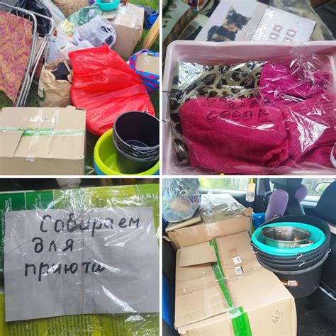 1 шоколадка в поддержку приюта «Ванечка» в Калуге - Calorizator.ru