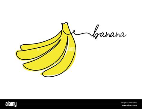 Banana Continuous One Line Drawing Fruit Vector Illustration Stock