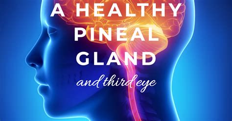 A Healthy Pineal Gland - The Third Eye