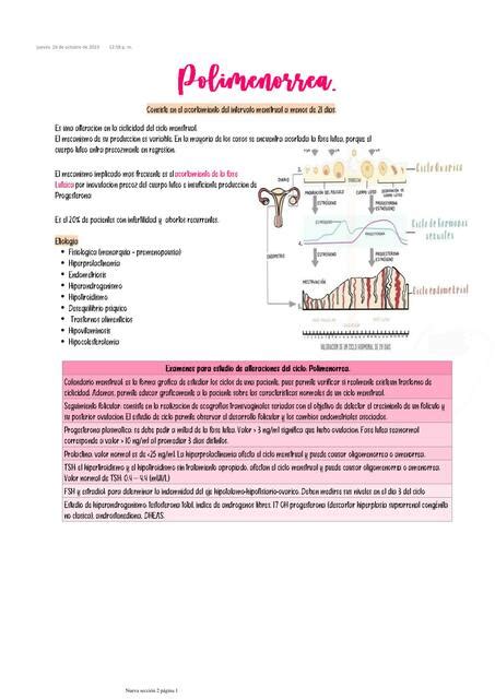 Polimenorrea Xatziry Solano Udocz