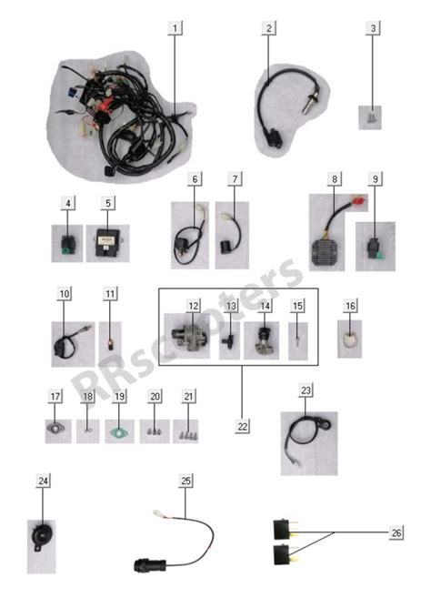 GTS Enzo Naked RRscooters
