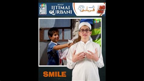 Ritual Qurbani_Noble Sacrifice_Baitussalam - YouTube