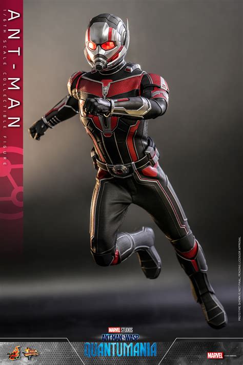 Hot Toys蟻俠與黃蜂女 量子狂熱 Ant Man 蟻俠 1 6比例珍藏人偶 Toys Zone D 玩具兄弟 Figures Price List Reviews