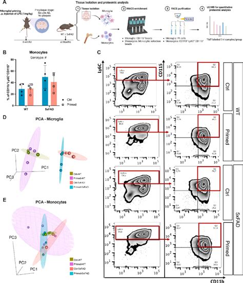 Proteomic Analysis Of Microglia And Monocytes Revealed More Distinctive Download Scientific