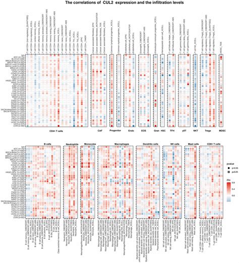 Comprehensive Prognostic And Immunological Analysis Of Cullin2 In Pan