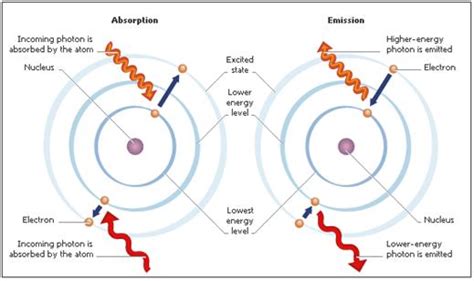 Atom Photon Interactions