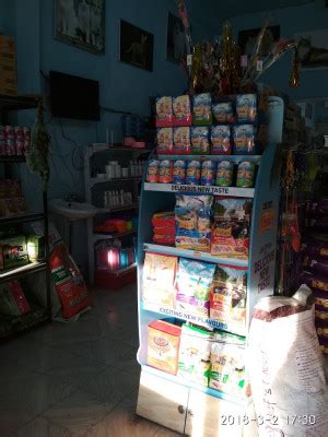 Pussy Petshop Di Medan Alamat Ulasan PintarPet