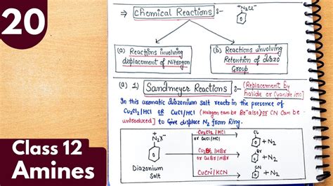 Sandmeyer And Gattermann Reaction Chemical Reactions Of Amines