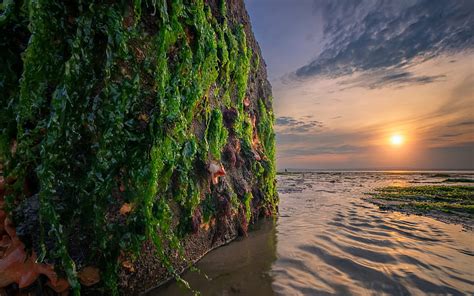 Rocks Coast Evening Sunset Seascape Vietnam Sea Hd Wallpaper