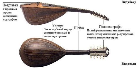 Мандолина: как выглядит и звучит этот музыкальный инструмент