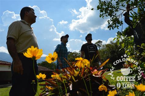 Colombia Coffee Tour Medellin Ce Quil Faut Savoir