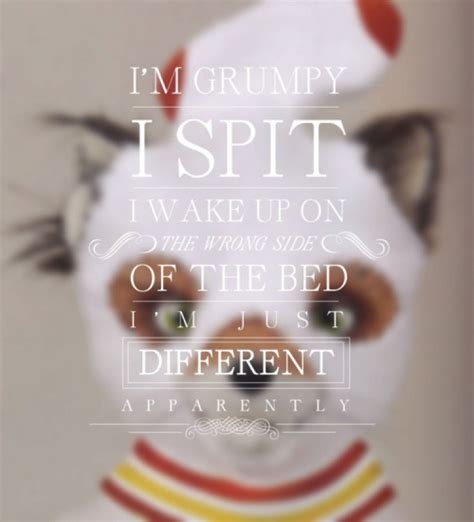 Fantastic Mr Fox Quotes. QuotesGram