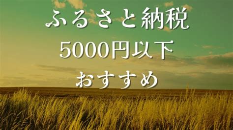 ふるさと納税5000円以下のおすすめ9選をブログで紹介します！ くらしに役立つ情報ブログ